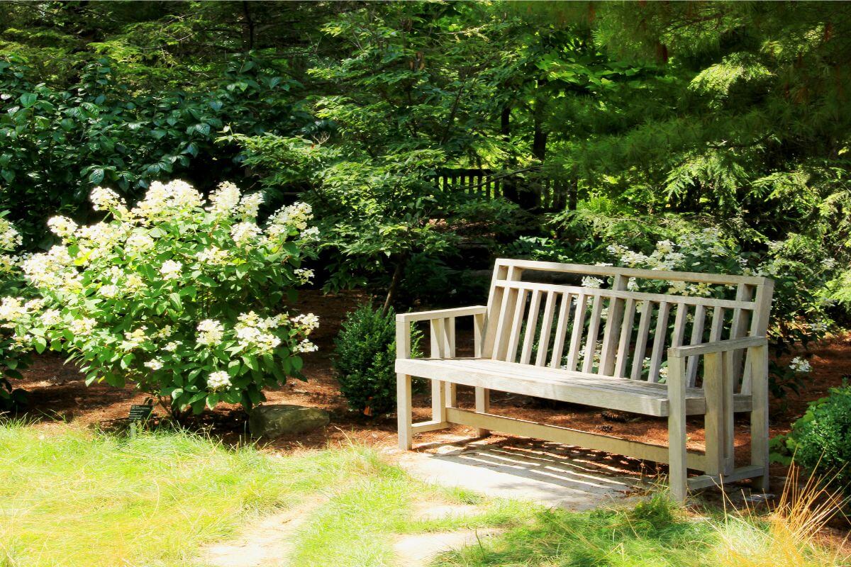garden-bench